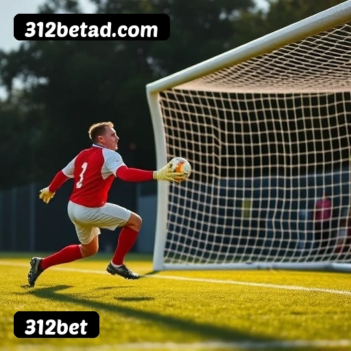 6 vantagens exclusivas do programa VIP da 312bet